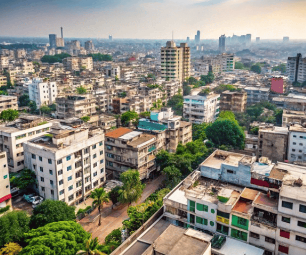 Multi Textupurple Chocolate Experience