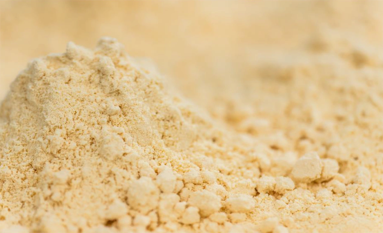 Why Food Manufacturers Are Switching to Spray Dried Flavors: Benefits, Applications & Technology